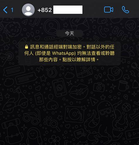 雙灰剔意思|【教學】WhatsApp 超實用秘技！即睇 20 個隱藏功。